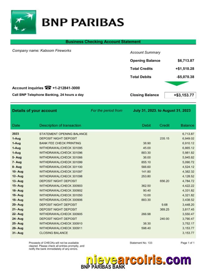 Bank BNP Paribas company statement